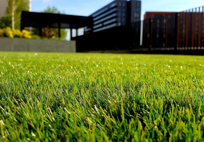 green grass field
