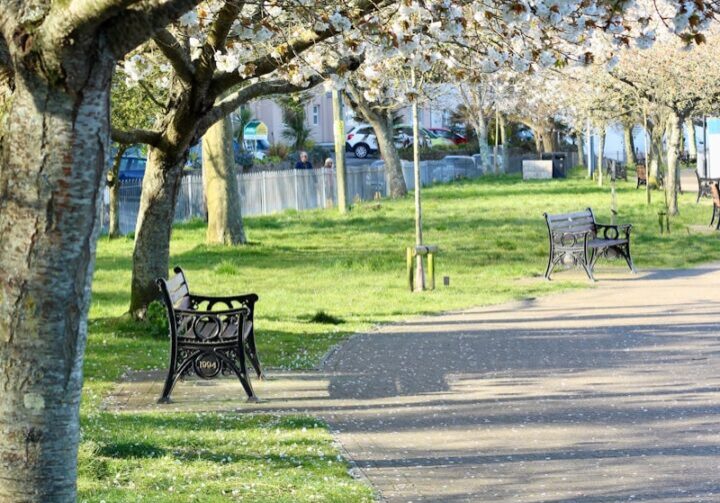 black metal bench on green grass field near trees during daytime